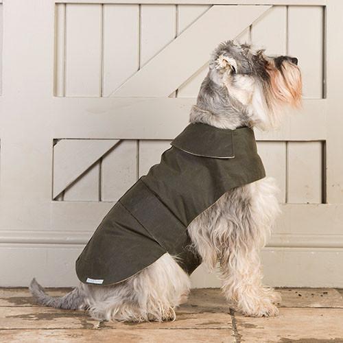 Mutts and Hounds Olive Green Waxed Waterproof Dog Coat