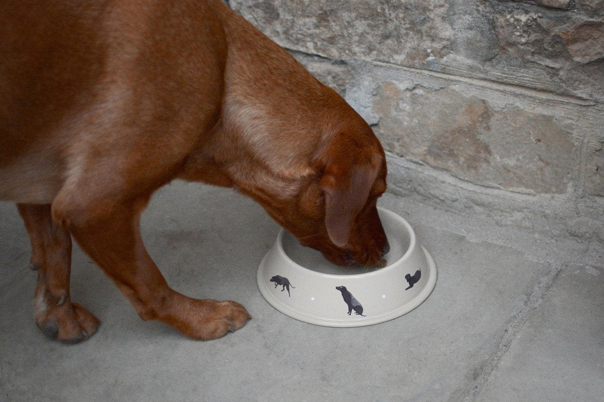 Sophie Allport Labrador Dog Bowl